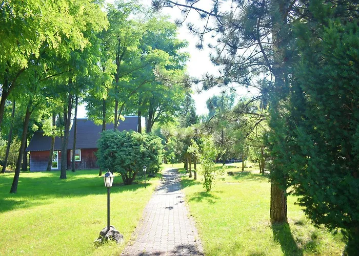 Center Angelos