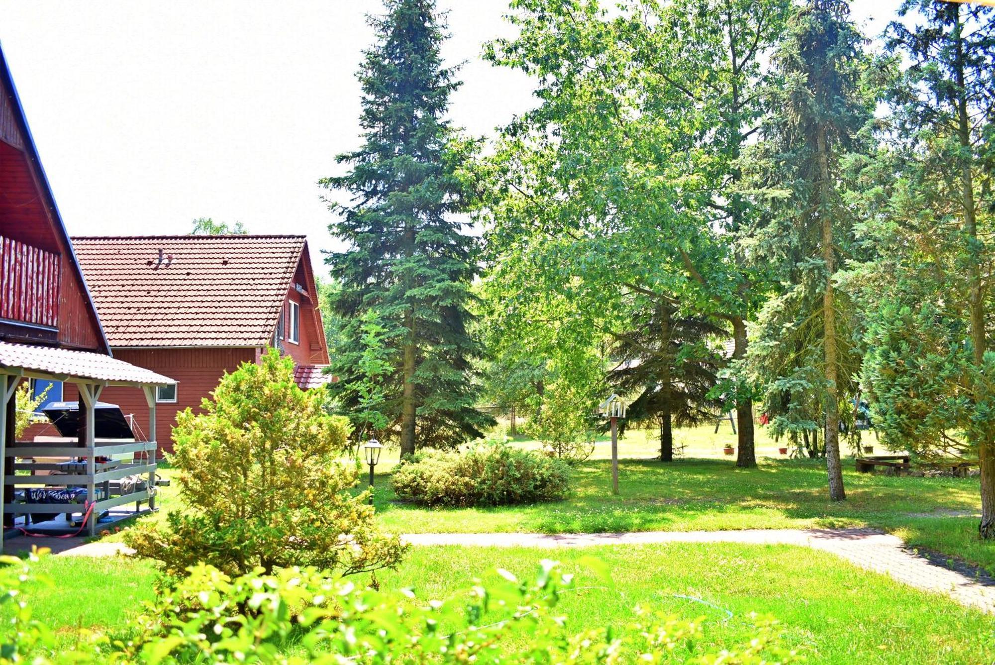 Center Angelos Bronkow
