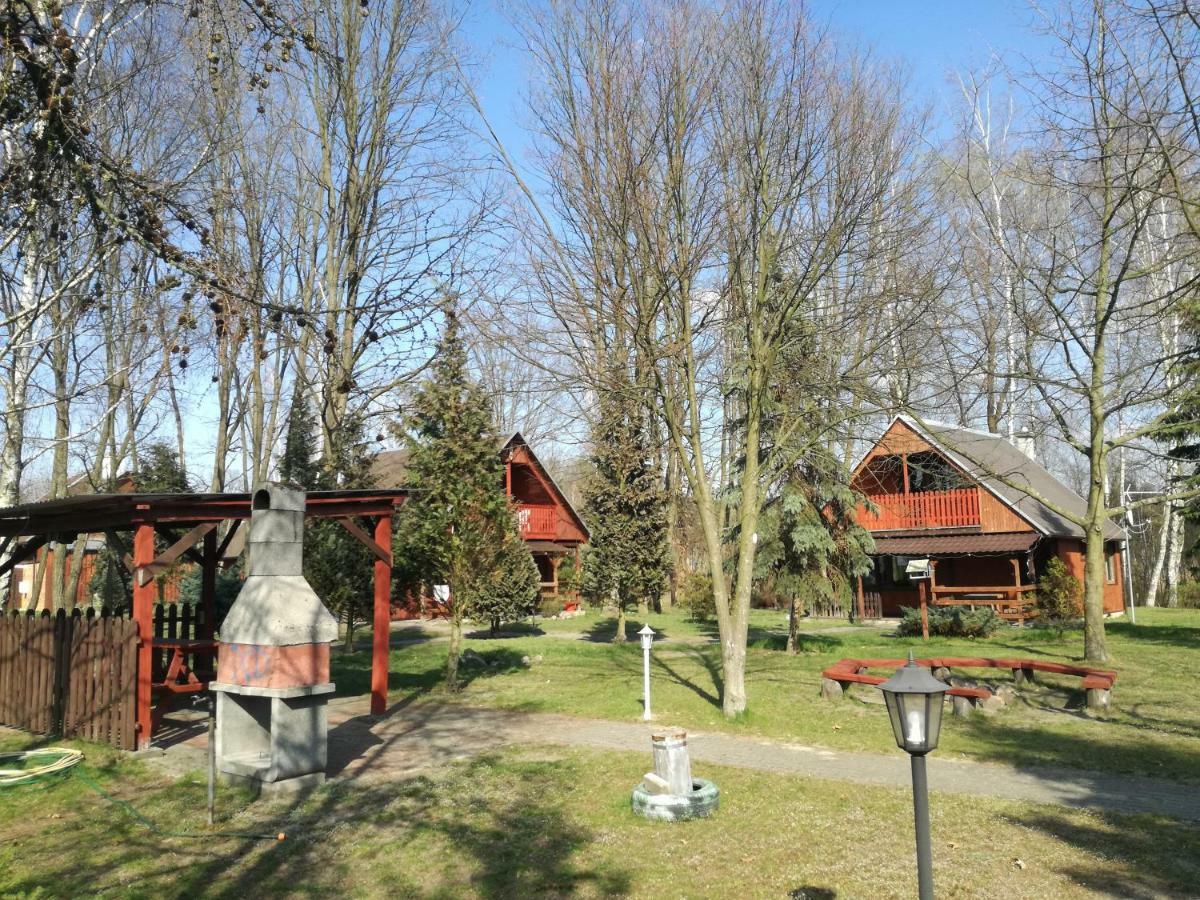Farm stay Center Angelos Bronkow